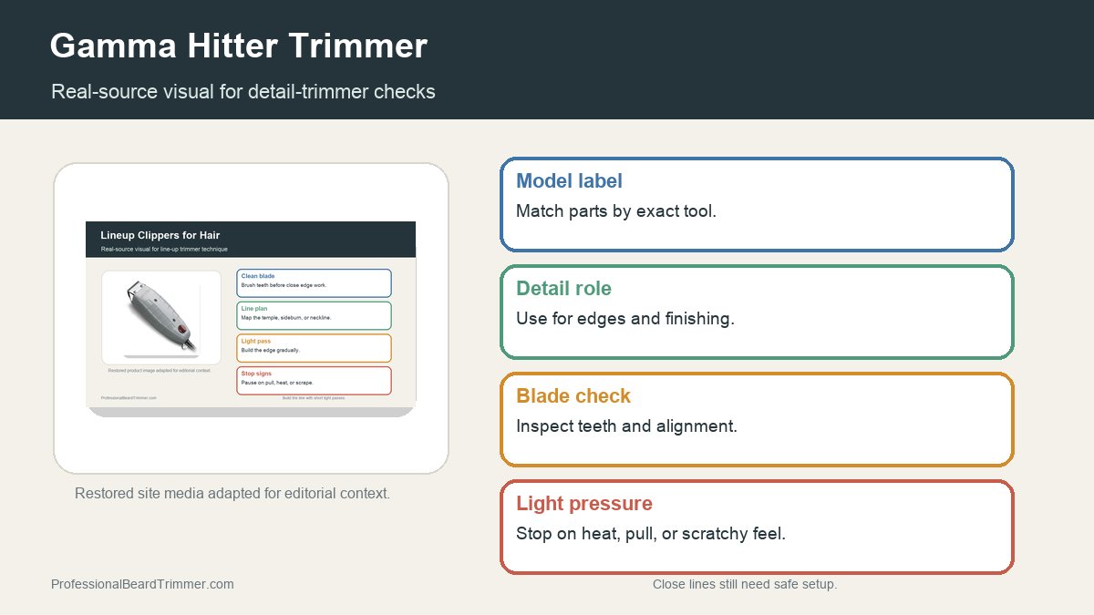 Editorial image based on lineup trimmer media with checks for detail work, blade condition, close-line safety, cleaning, and controlled trimming