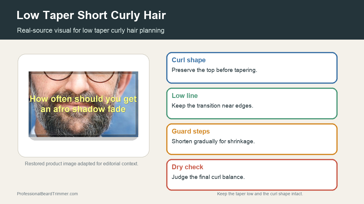 Editorial image based on restored haircut media with checks for low taper short curly hair, curl shape, guard planning, neckline cleanup, and maintenance